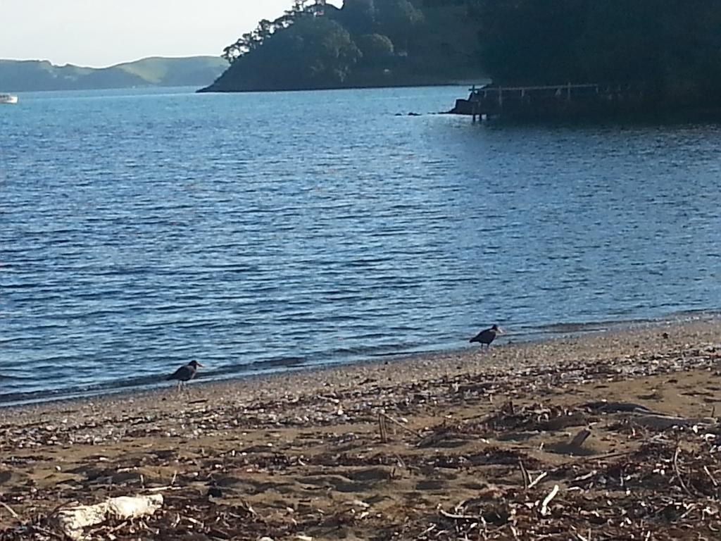 Отель Oamaru Bay Tourist Park Coromandel Экстерьер фото